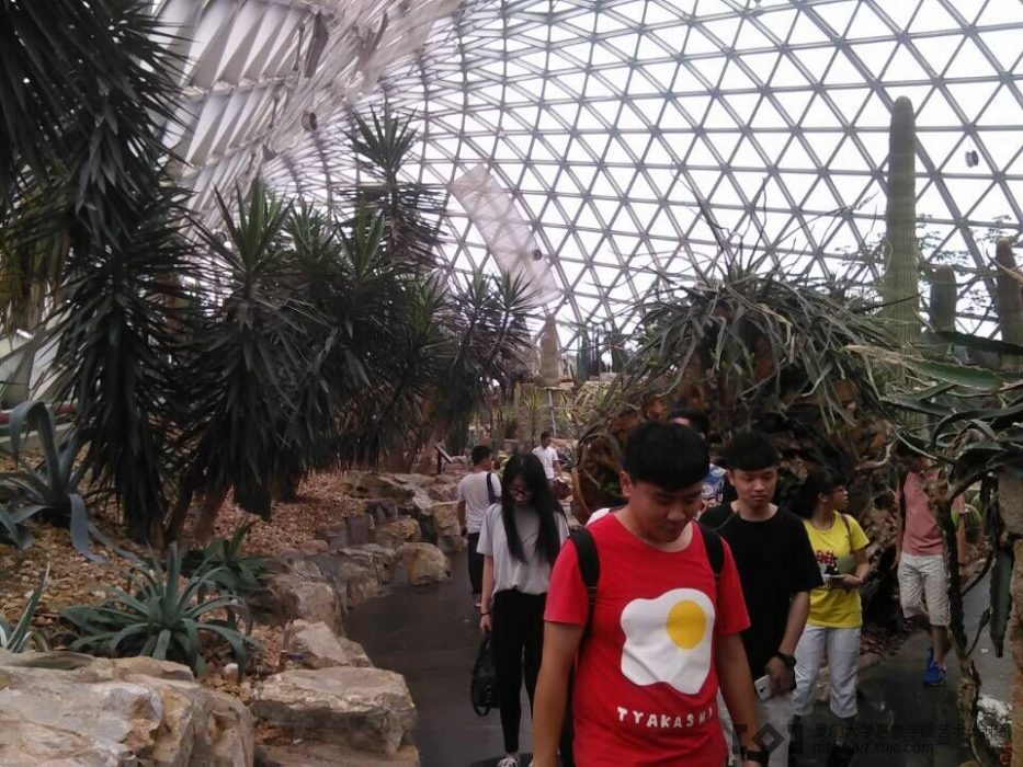 参观上海辰山植物园2