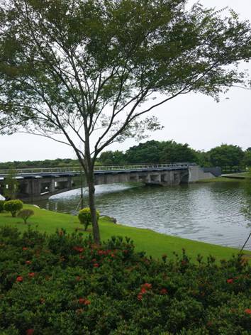 IMG_20180716_143923_mh1532097722434