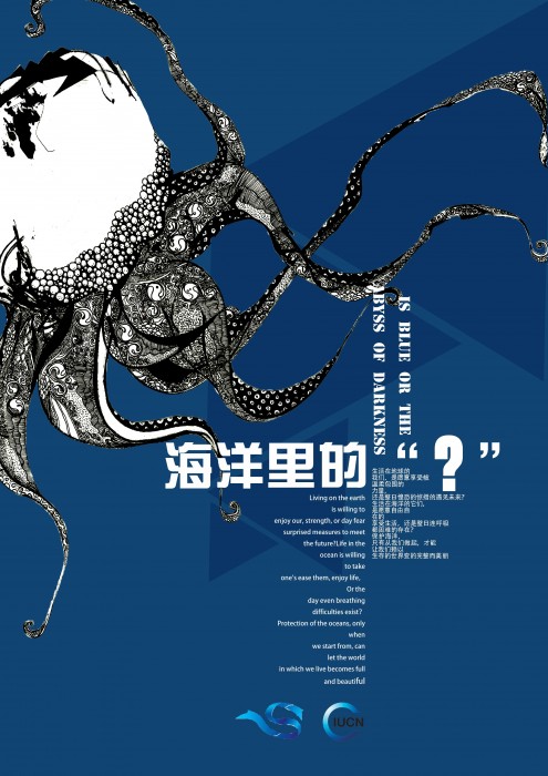 章鱼海报完整版