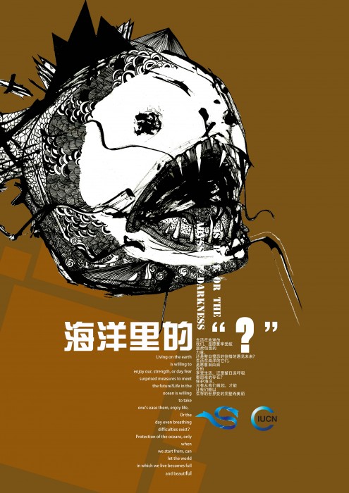 大脸鱼海报完整版