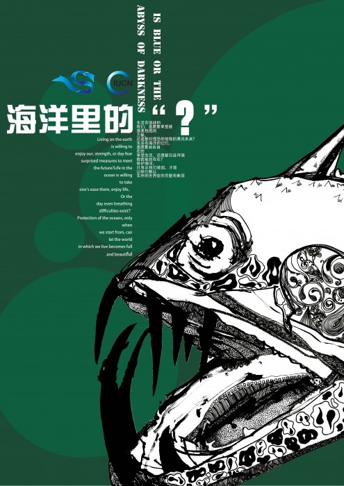 鲨鱼海报完整版